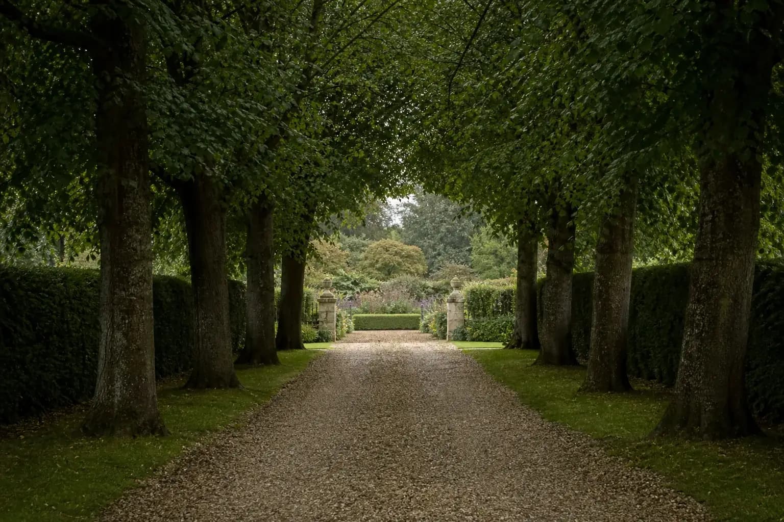 Gravel driveway lined with mature broadleaf trees leading to an English country garden