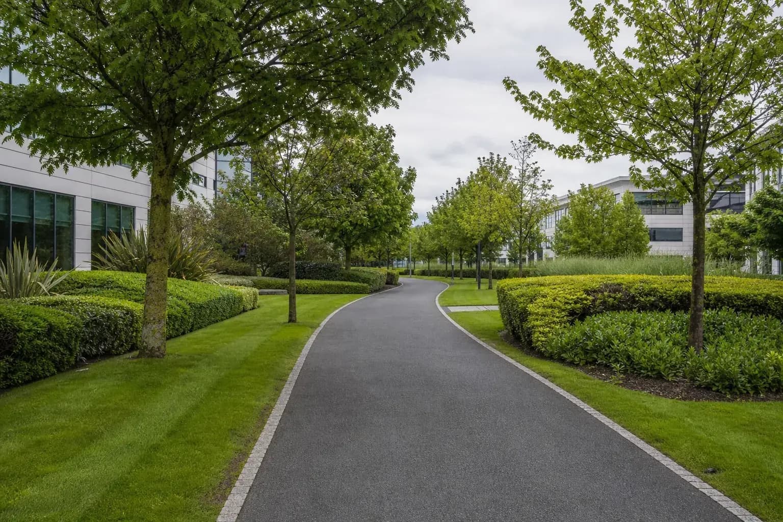 Tree lined grounds of a business park with mown grass verges and clipped shrub beds